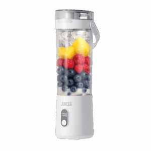 Small juicer